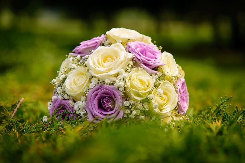 Colorful Flowers