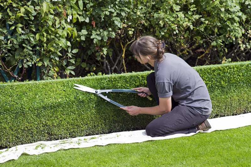 Green Sculpture Topiary